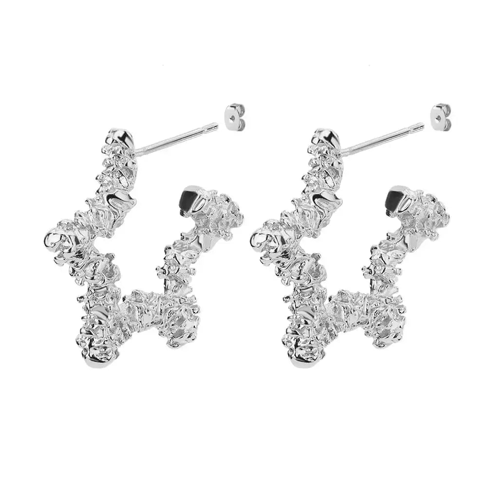 Zircon Star Stud Earrings  silver